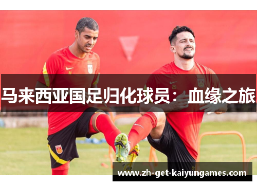 马来西亚国足归化球员：血缘之旅