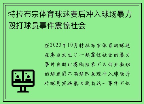 特拉布宗体育球迷赛后冲入球场暴力殴打球员事件震惊社会 特拉布宗体育球迷赛后冲入球场暴力殴打球员事件震惊社会